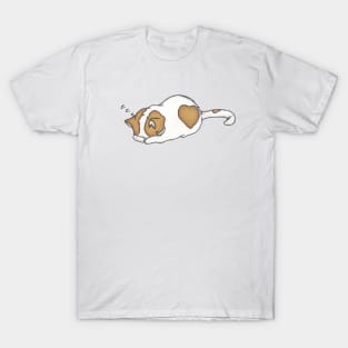 Sleepy Kitty T-Shirt